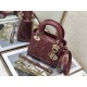 Dior Bag 8203A Lady Mini 17cm yz