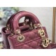 Dior Bag 8203A Lady Mini 17cm yz