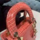 Dior Bag Lady 17x7.5x14cm yz