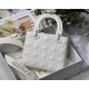 Dior Bag Lady M6004 20x16.5x8cm wz