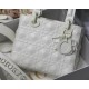 Dior Bag Lady M6004 20x16.5x8cm wz