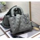 Dior Bag 2224s 20cm wo