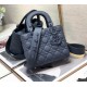 Dior Bag 2224s 20cm wo