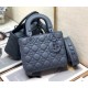 Dior Bag 2224s 20cm wo