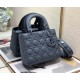 Dior Bag 2224s 20cm wo