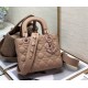 Dior Bag 2224s 20cm wo