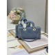 Dior Bag Lady 0540 26x6x14cm wo