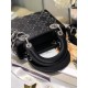 Dior Bag Lady 2011s 17cm wo