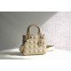 Dior Bag Lady 8878 20x16.5x8cm wo_2