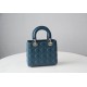 Dior Bag Lady 8878 20x16.5x8cm wo_4