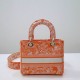 Dior Bag Lady 44532 24x20x11cm wo