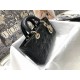 Dior Bag  Lady M0540 26x13.5x5cm wz1