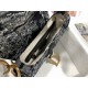 Dior M0446 25.5x20x6.5cm wz