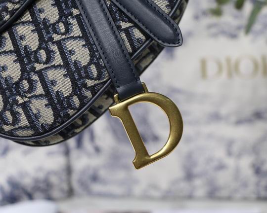 Dior Saddle 19.5x16x6.5cm wz