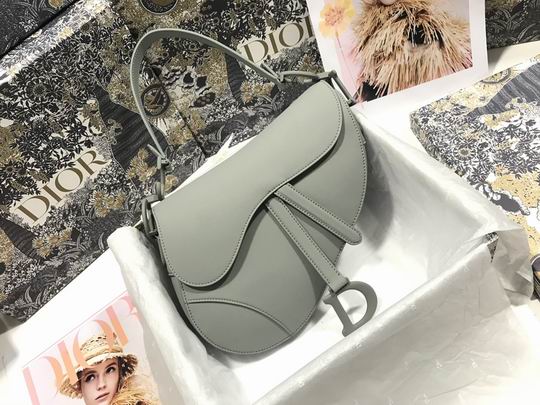 Dior Saddle M0446 25.5x20x6.5cm wz