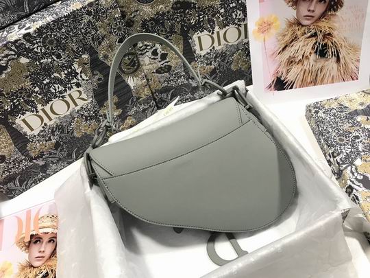 Dior Saddle M0446 25.5x20x6.5cm wz