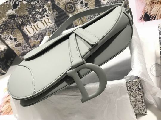 Dior Saddle M0446 25.5x20x6.5cm wz