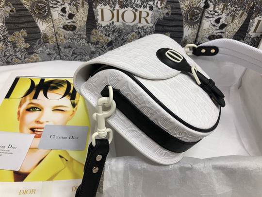 Dior Bobby M9319 22x17x6cm wz