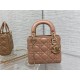 Dior Bag Classic Lady 17cm wo