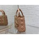 Dior Bag Classic Lady 17cm wo