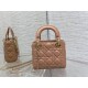 Dior Bag Classic Lady 17cm wo