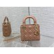 Dior Bag Classic Lady 17cm wo