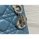 Dior Bag Classic Lady 17cm wo