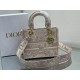 Dior Bag Lady 9027 24x20x11cm wo1