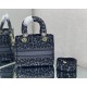 Dior Bag Lady 9027 24x20x11cm wo1