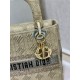 Dior Bag Lady 9027 24x20x11cm wo