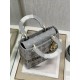 Dior Bag Lady 9027 24x20x11cm wo