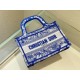 Dior Book Tote 23cm wz