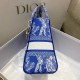 Dior Bag Lady 24cm wz1