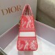 Dior Bag Lady 24cm wz1