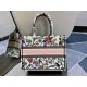 Dior Bag Book Toe 36x28x16cm sz10