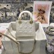 Dior Bag Lady M0505 17x15x7cm wz