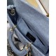 Dior Bag Lady 26x13.5x5cm wz