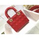 Dior Bag Lady M0538 20x16.5x8cm wz