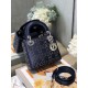 Dior Bag Lady GD-008 17cm wo