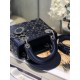 Dior Bag Lady GD-008 17cm wo