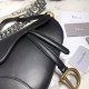 Dior Saddle M0446 25.5x20x6.5m wo