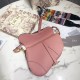 Dior Saddle M0446 25.5x20x6.5cm wo