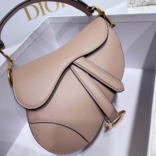 Dior Saddle M0446 25.5x20x6.5cm wo