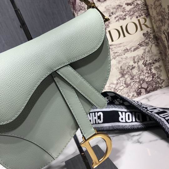 Dior Saddle M0446 25.5x20x6.5cm wo