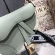 Dior Saddle M0446 25.5x20x6.5cm wo