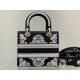 Dior Bag  Lady D-Lite 24cm 