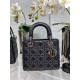 Dior Bag Lady Lucky 20cm