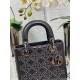 Dior Bag Lady Lucky 20cm