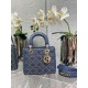 Dior Bag Lady Lucky 20cm