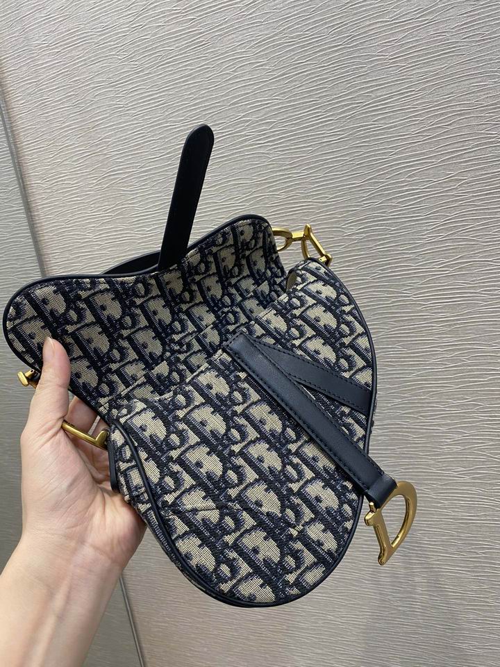 Dior Saddle 19.5cm wz